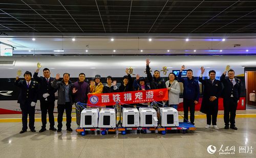 乘高铁携宠享乐游 礼仪服务指南